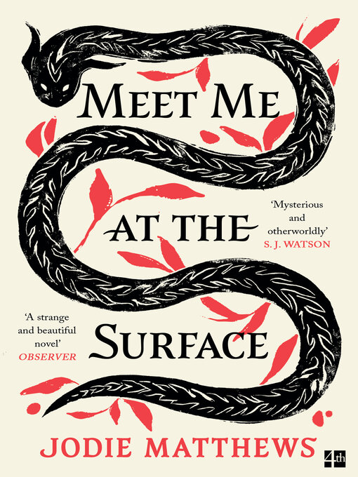 Title details for Meet Me at the Surface by Jodie Matthews - Wait list